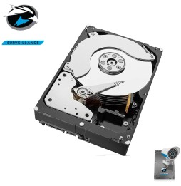 Disque Dur Vidéosurveillance 10 To Seagate SkyHawk ST10000VE0